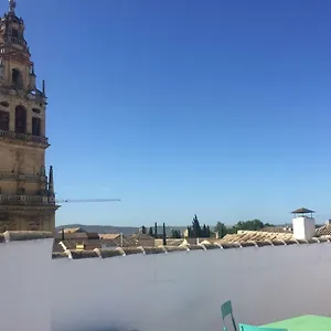 Entre 2 Mezquitas Apartamento 8 Cordoba